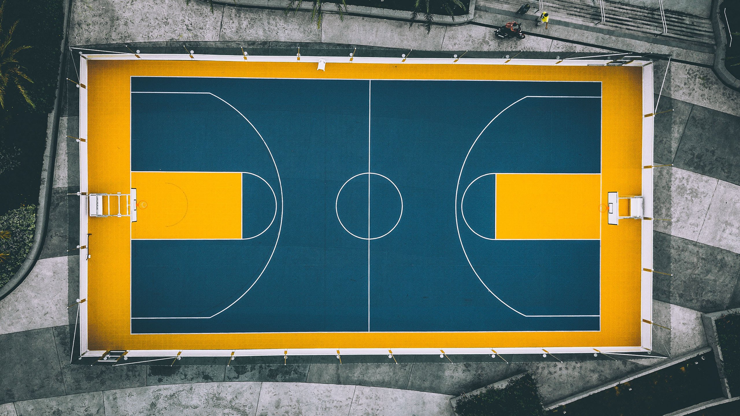 bet365官方方-备战无界限，当阿贾克斯的扳平良机遇上NBA常规赛，足球与篮球的魔幻交响